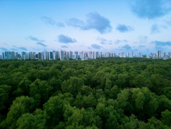 Découvrez les bienfaits du shiatsu à lille